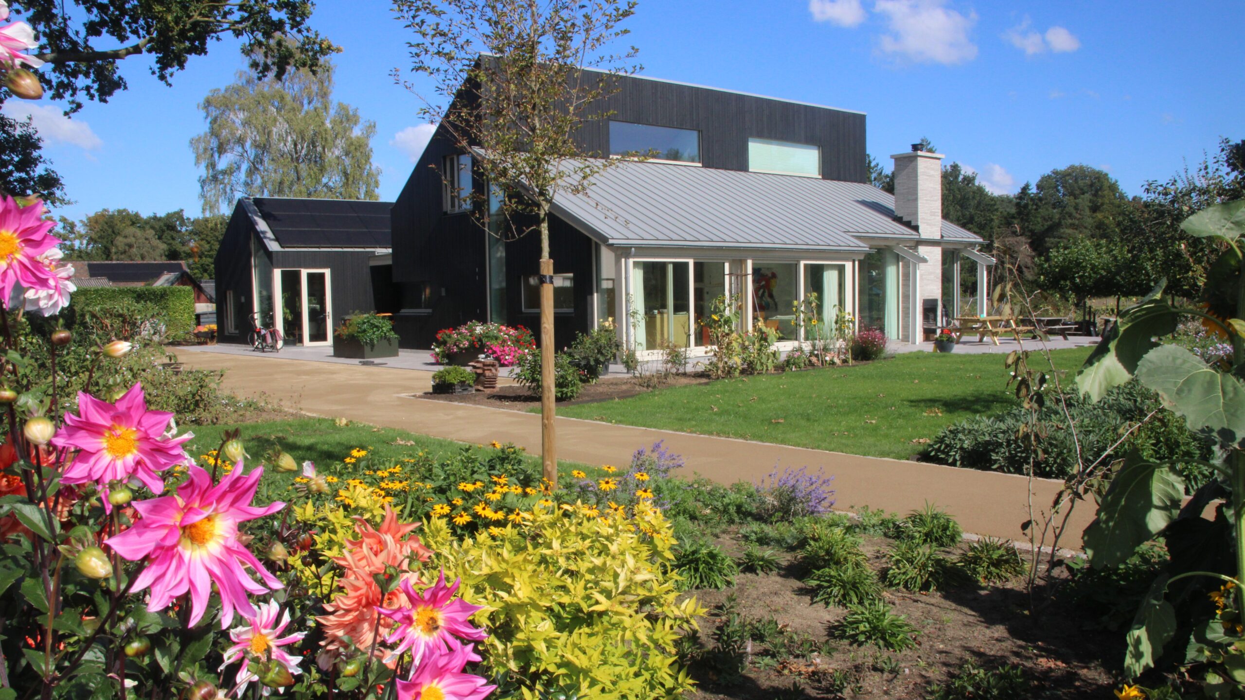 GranoTOP Eco GranoTOP Eco